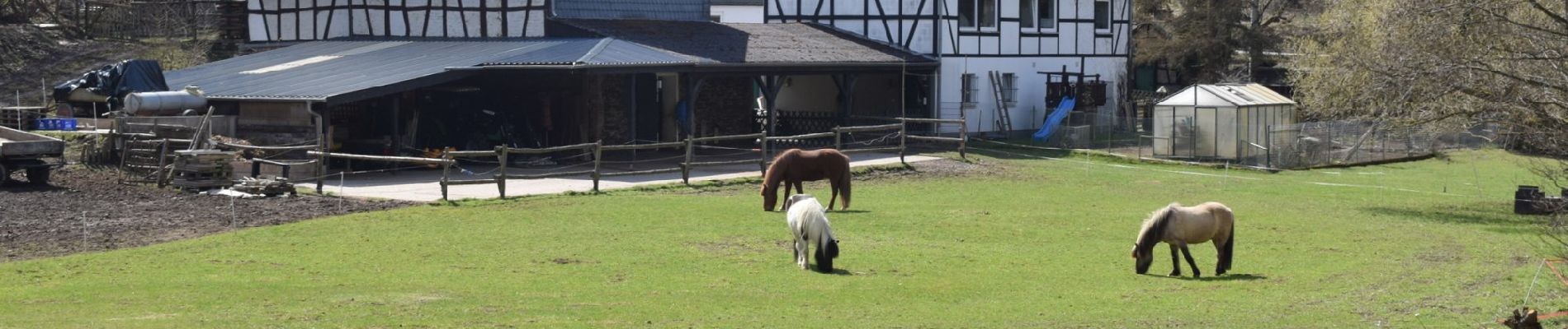 Randonnée A pied Niedert - Traumschleife Oberes Baybachtal - Photo