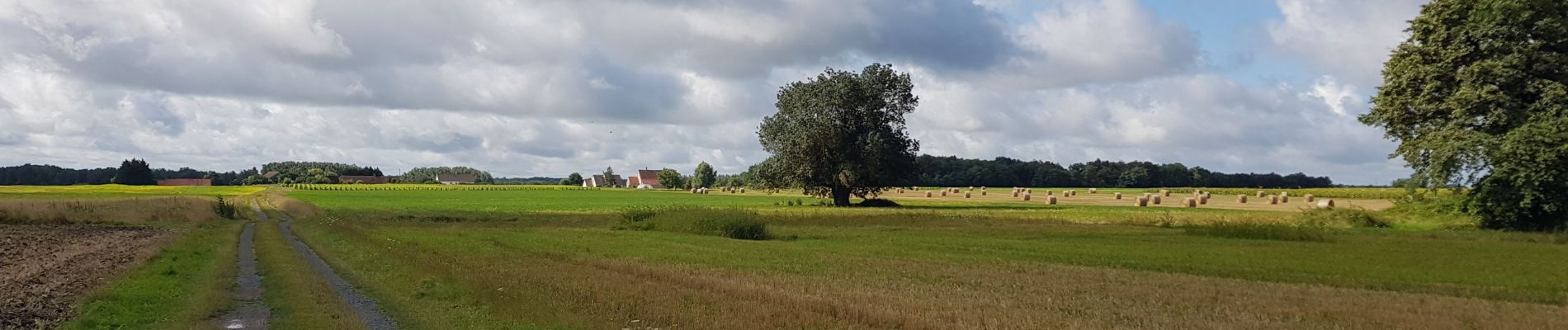 Tour Zu Fuß Méhers - Mehers 8 août 2021 - Photo