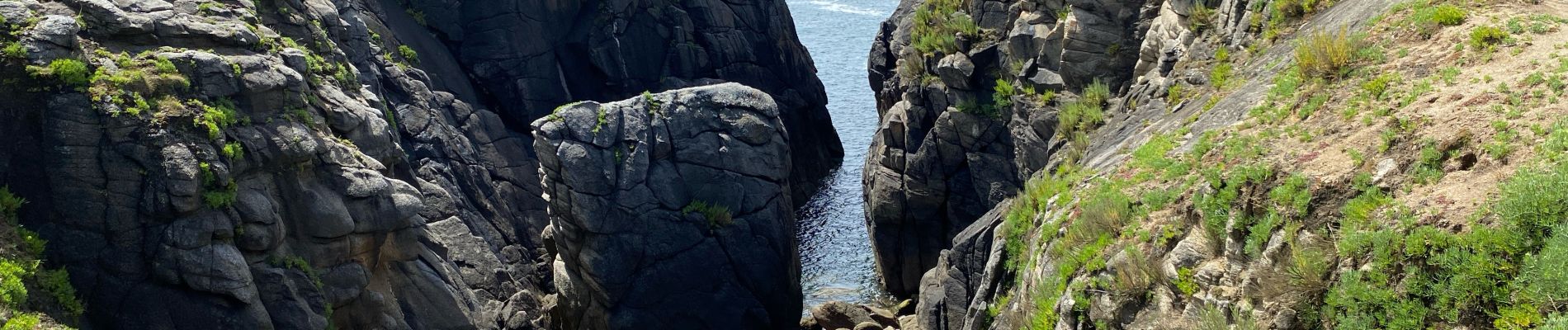 Trail Walking L'Île-d'Yeu - Île d’yeu J2 - Photo