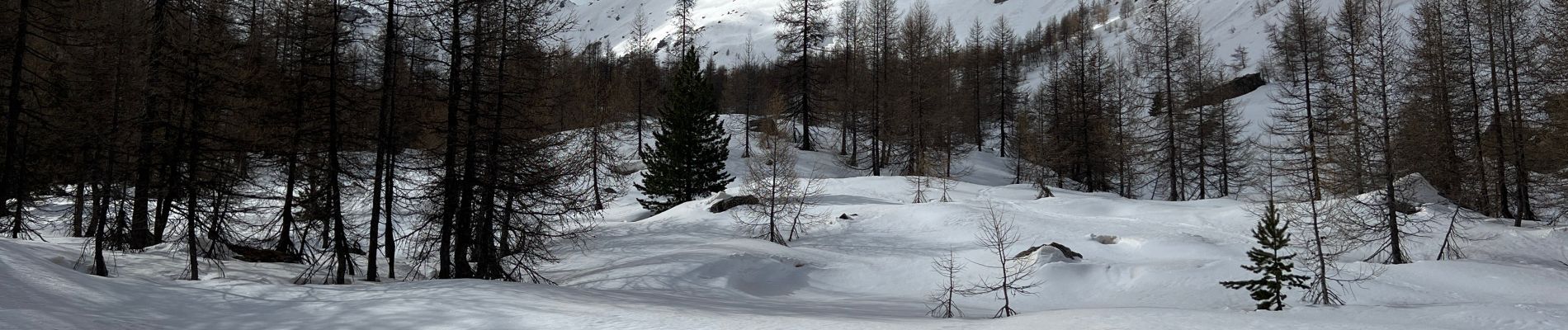 Excursión Raquetas de nieve Entraunes - Pointe du Génépi  - Photo