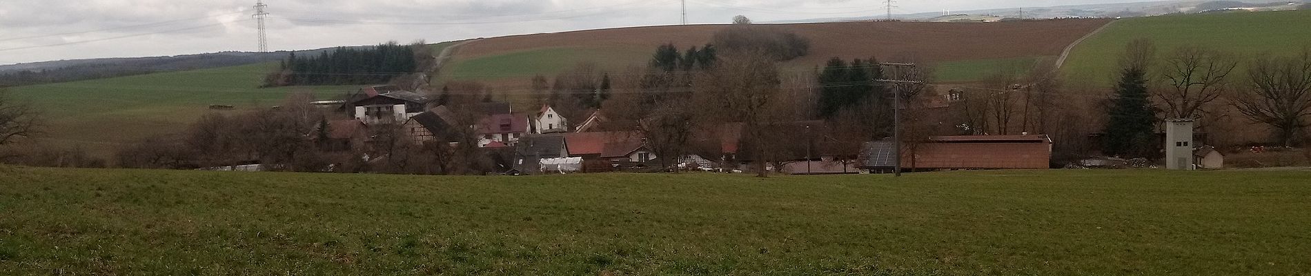 Excursión A pie Adelsheim - Rundwanderweg Wemmershof 2: Grenzwall-Weg - Photo