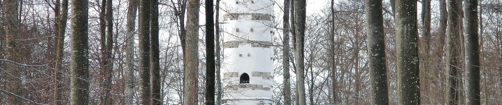 Randonnée A pied Gomadingen - P Gestütshof St. Johann Rundwanderweg 4 - Photo