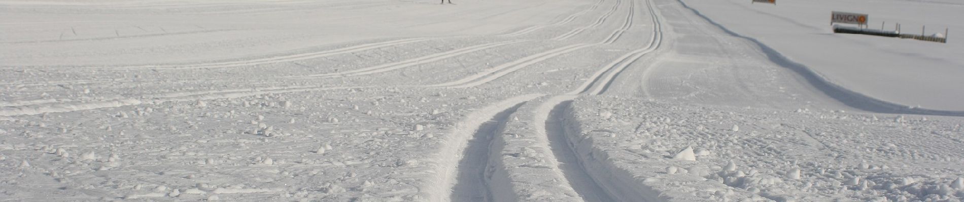 Tocht Te voet Valdidentro - (SI D33N) Rifugio Val Viola - Livigno - Photo