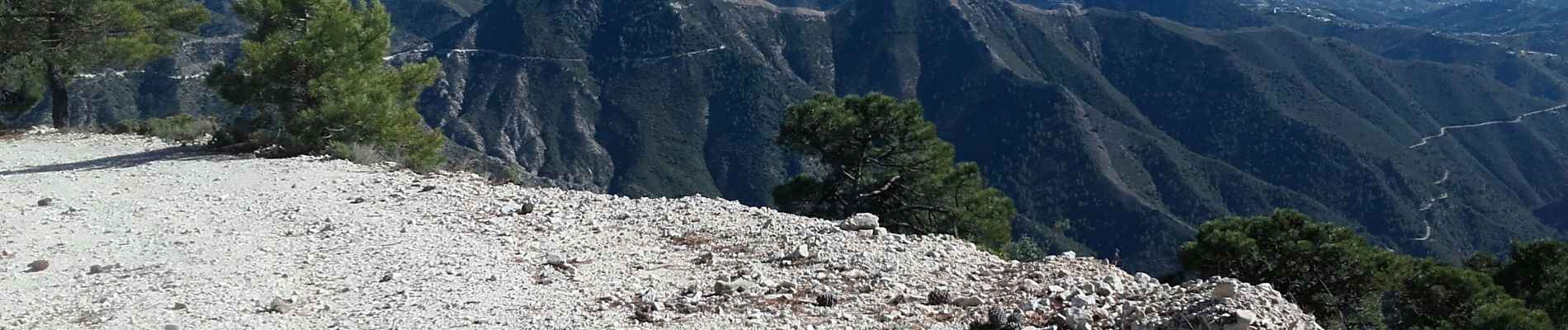 Trail Walking Cómpeta - A dessus de Competa 2019 - Photo