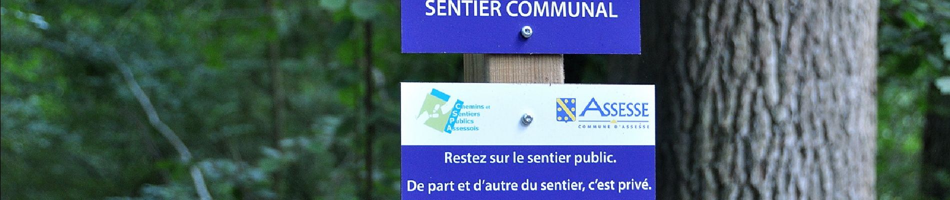 Randonnée Marche Yvoir - Promenade du chaînon manquant  - Photo