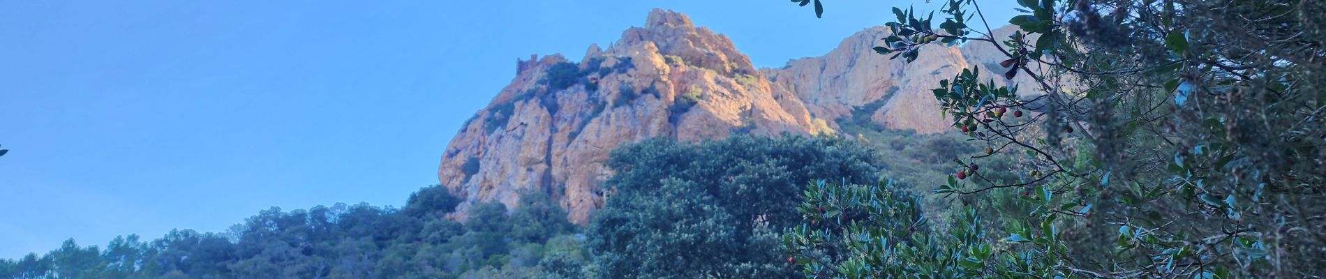 Randonnée Marche Saint-Raphaël - Ste Baume Calanque Aurelle - Photo