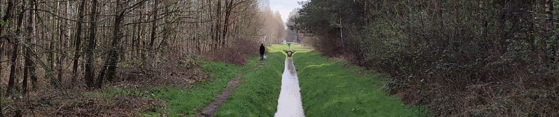 Randonnée Marche Horst aan de Maas - Schadijkse Bossen - Photo