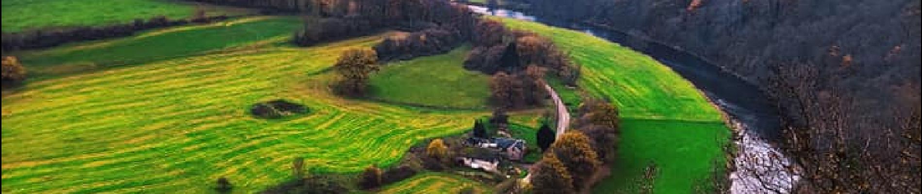 Tocht Stappen Esneux - Promenade vers la Roche aux faucons  - Photo