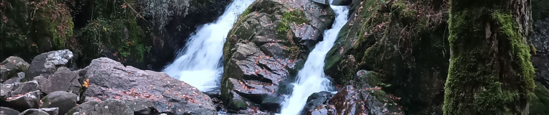 Randonnée Marche Le Tholy - Cascades du tendon. La boucle - Photo