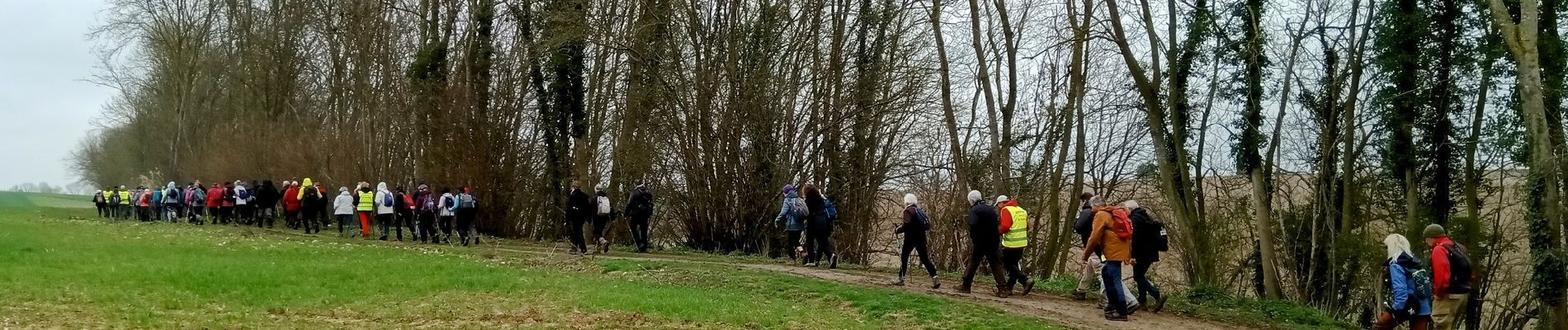 Tour Wandern Castres - Castres du 02-04-2023 après midi  - Photo