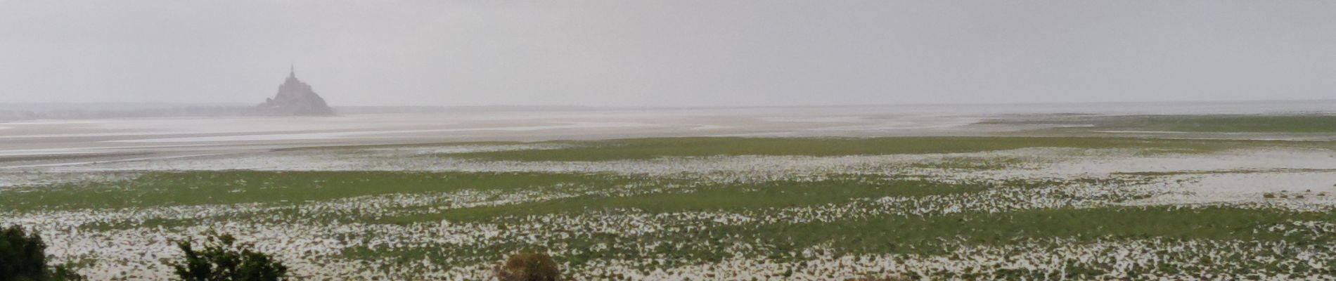 Randonnée Marche Genêts - belvédère sur le Mont Saint Michel de Genets au Groin sud - Photo