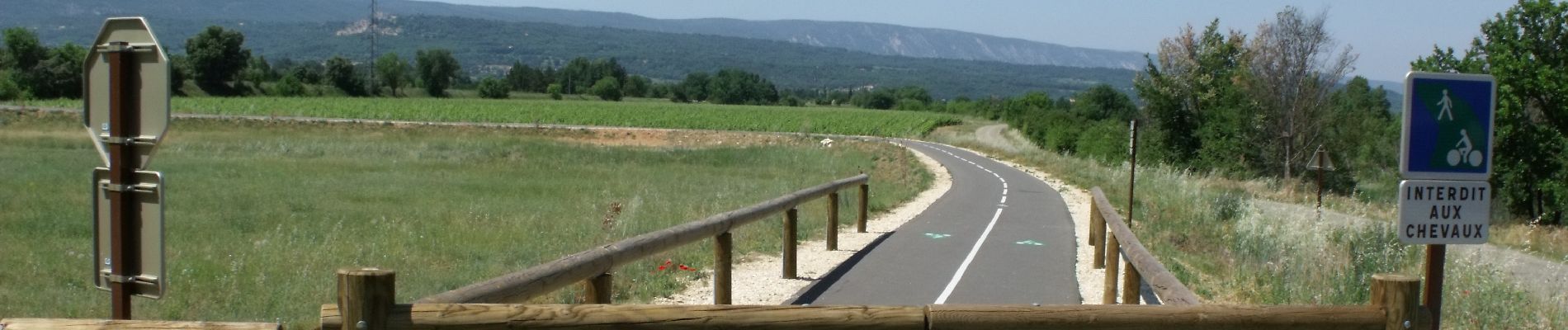 Excursión Bici de montaña Cavaillon - Foret des cêdres D+850m par veloroute Calavon - Photo