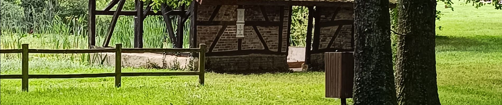 Randonnée Marche Maraye-en-Othe - Balade aux Boulins - Photo