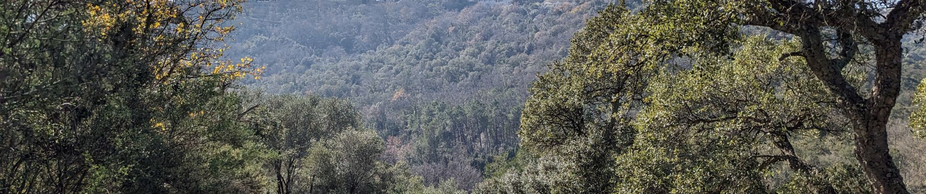 Excursión Senderismo Grimaud - grimaud pont des fées et mont roux - Photo