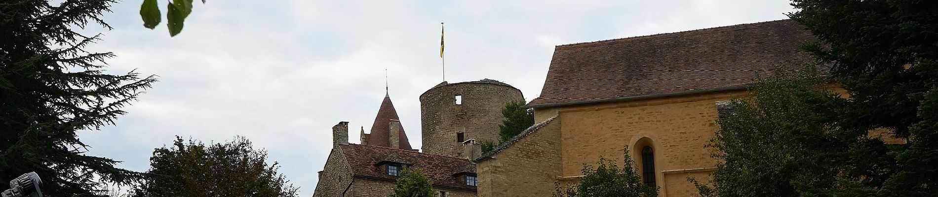 Trail On foot Montoillot - Boucle des Trois Châteaux - Photo