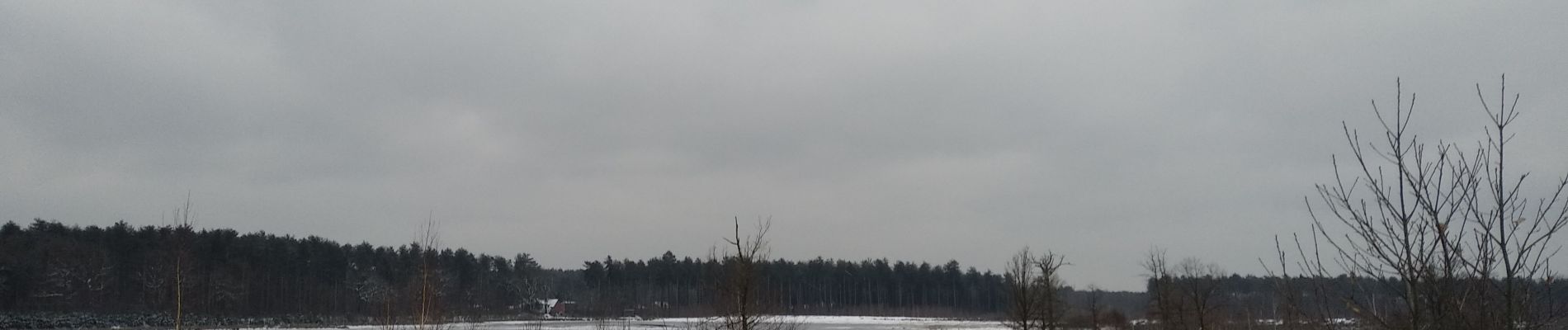 Randonnée Marche Tessenderlo - Averbode Bos en Heide 1 - Photo