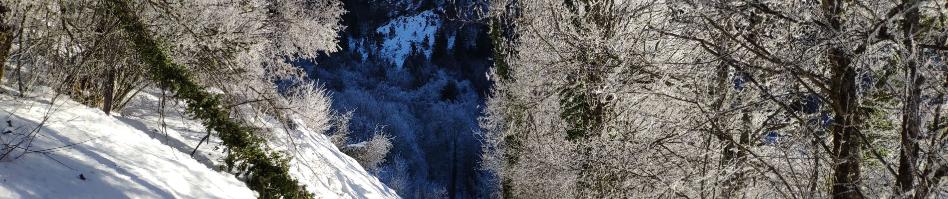 Tour Wandern Jarsy - Bauges 2021 : Jarzy - Vallée du Chérant (glacée) - Replat d'en Haut vers le mont Pécloz (-12-21).ori - Photo