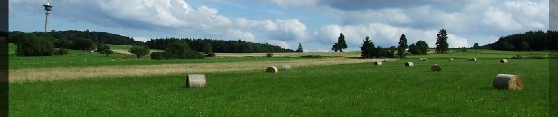 Tocht Te voet Neuenstein - Eisenberg-Siegelweg - Photo