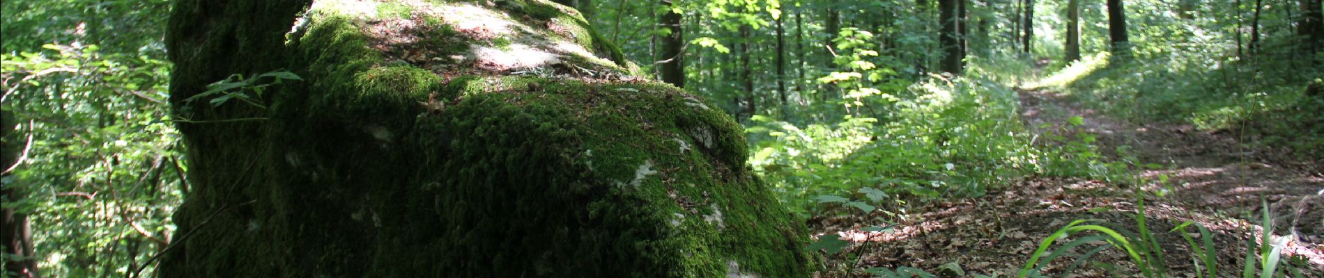 Randonnée Marche Anhée - La Pierre du Diable - Photo