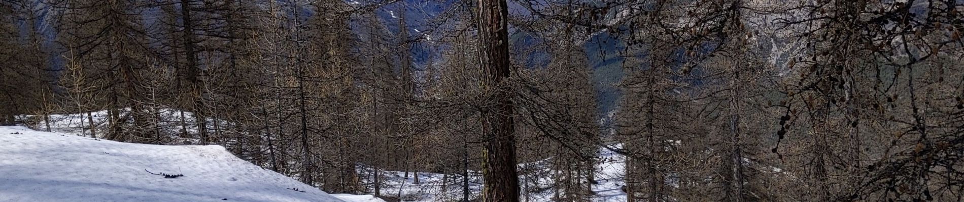 Tour Schneeschuhwandern Puy-Saint-Vincent - les têtes 18 03 2021 - Photo