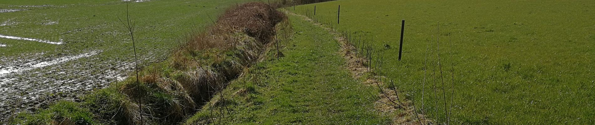 Punto di interesse Rebecq - Vue du chemin réhabilité (vicinal N°7) - Photo