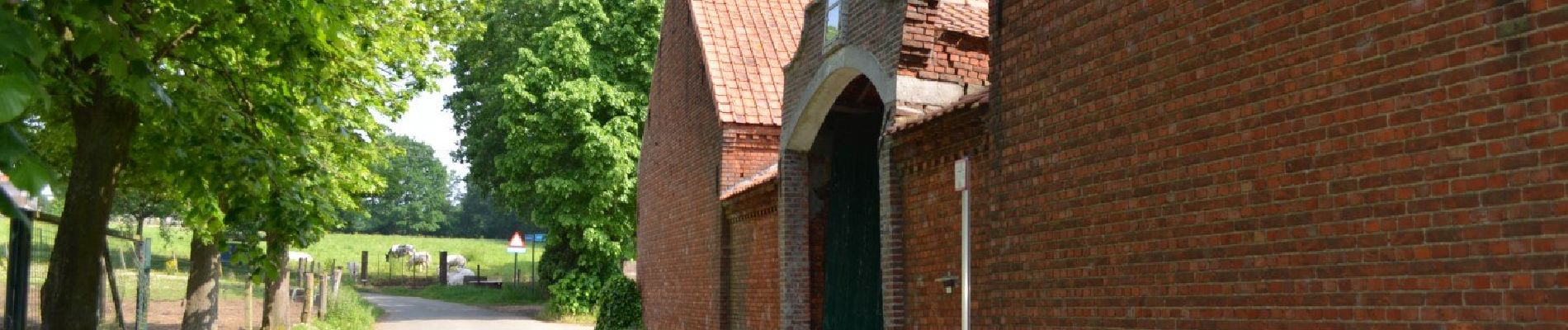 Tocht Te voet Beringen - Paal Gele zeshoek - Photo