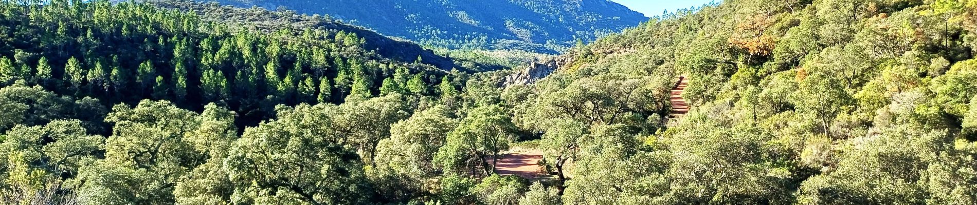 Tour Wandern Saint-Raphaël - Pic d'Aurelle depuis le Col Belle Barbe - Photo