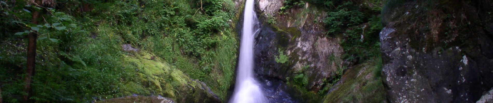 Tocht Te voet The Municipal District of Wicklow - Waterfall Walk - Photo