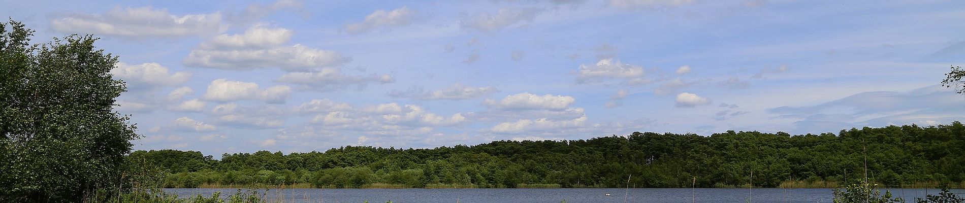 Tocht Te voet Ibbenbüren - Teutoschleife Heiliges Meer - Photo