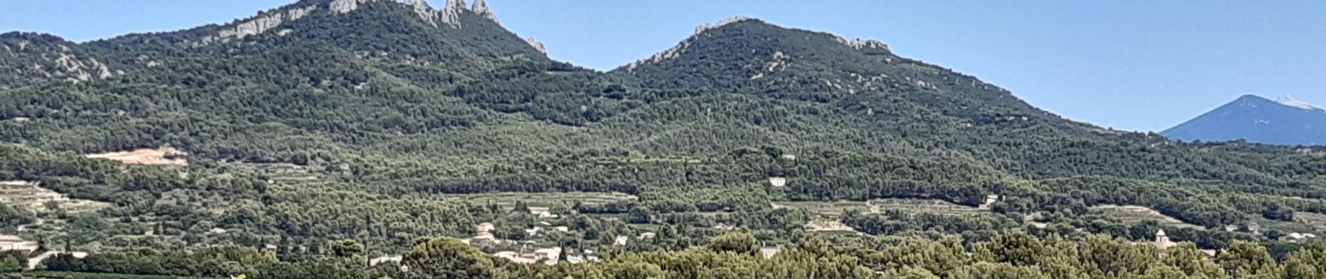 Excursión Senderismo Vacqueyras - Vacqueyras : balade dans les vignes - Photo