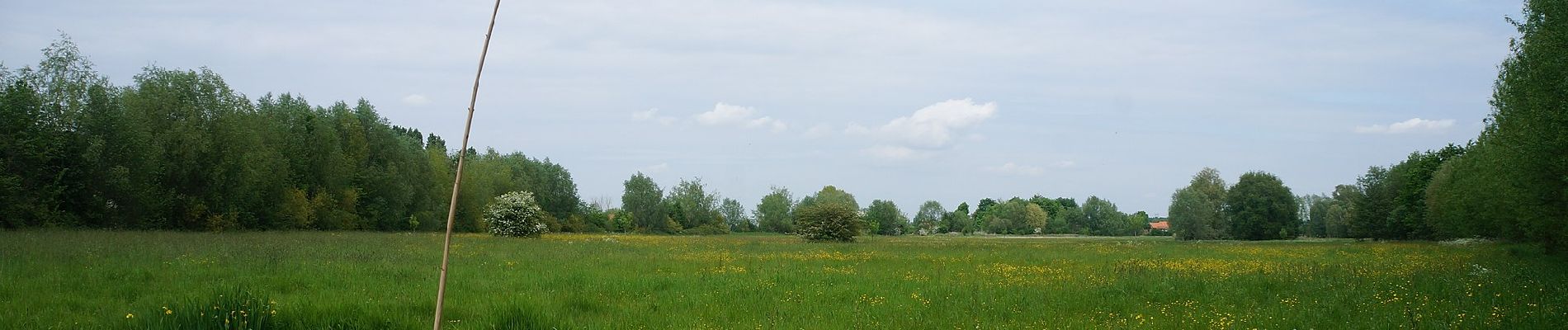 Tour Zu Fuß Sailly-sur-la-Lys - Chemin des Sûres - Photo