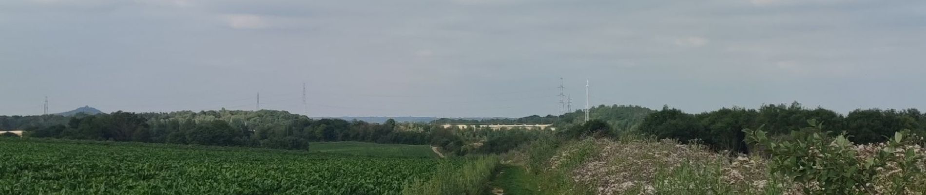 Randonnée Marche Bassenge - A la découverte de Wonck 🥾 - Photo