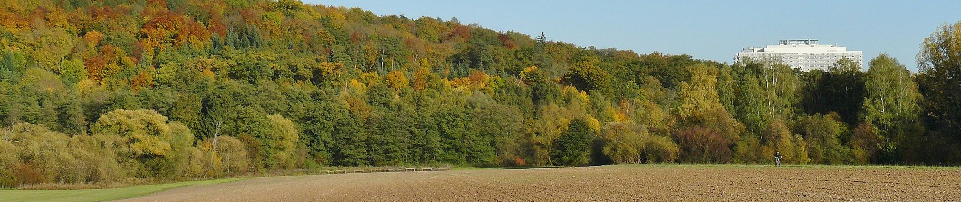 Tocht Te voet Onbekend - DE-SAV Rotes Kreuz, Doggenburg - Glemseck - Möhringen - Ruit - ? - Photo