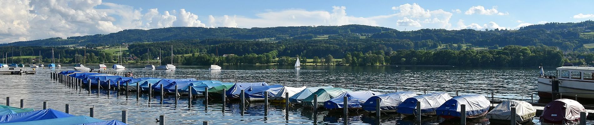 Percorso A piedi Uster - Niederuster - Oberuster - Photo