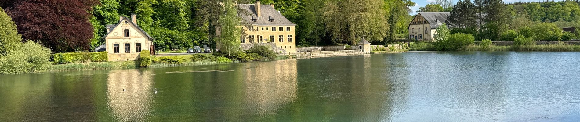 Tocht Noords wandelen Saint-Léger - Charmouthienne 2024 - Photo