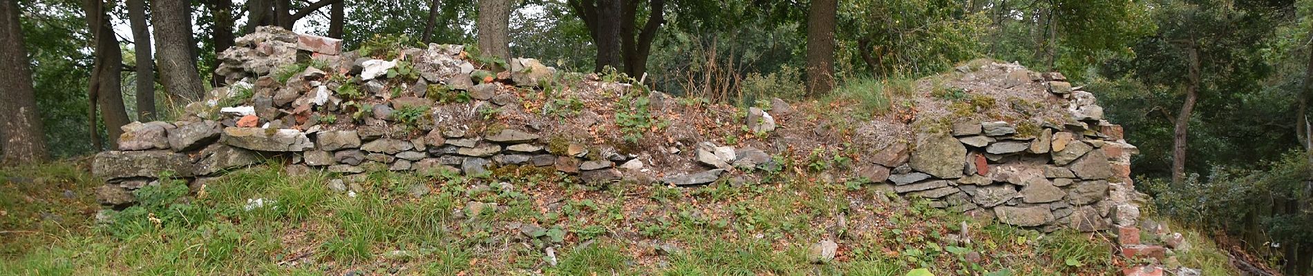 Percorso A piedi Harzgerode - Anhalt-Rundweg - Photo