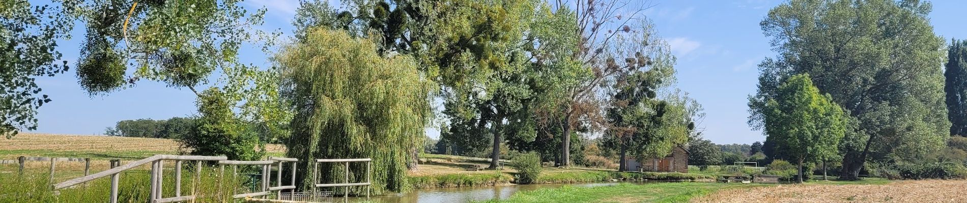 Tour Wandern Le Châtelet-en-Brie - Boucle champêtre autour de Chatelet en Brie - Photo