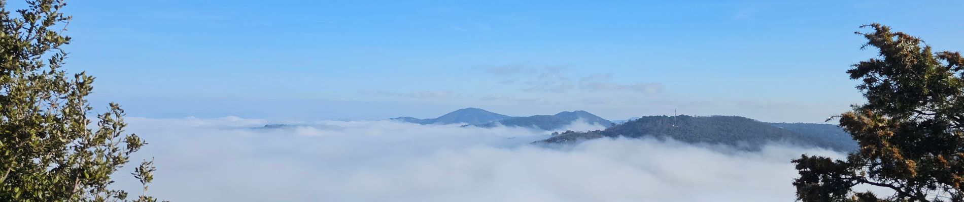 Tour Wandern La Garde-Freinet - balade chateau - Photo