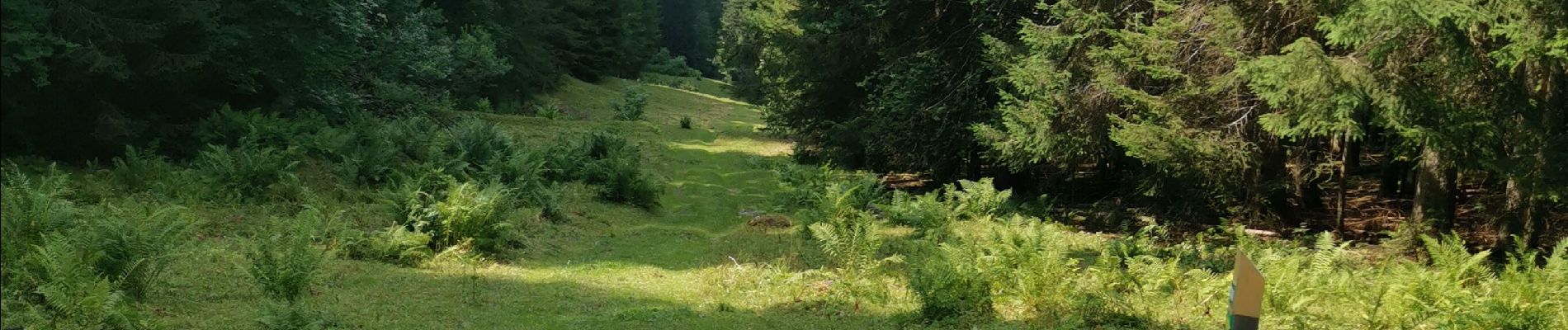 Tocht Stappen Morzine - Hauts Fotrs - Photo