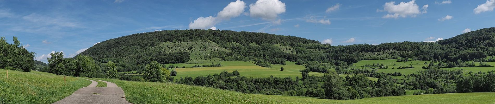 Tocht Te voet Waldstetten - Glaubensweg 14 Christentalweg - Photo