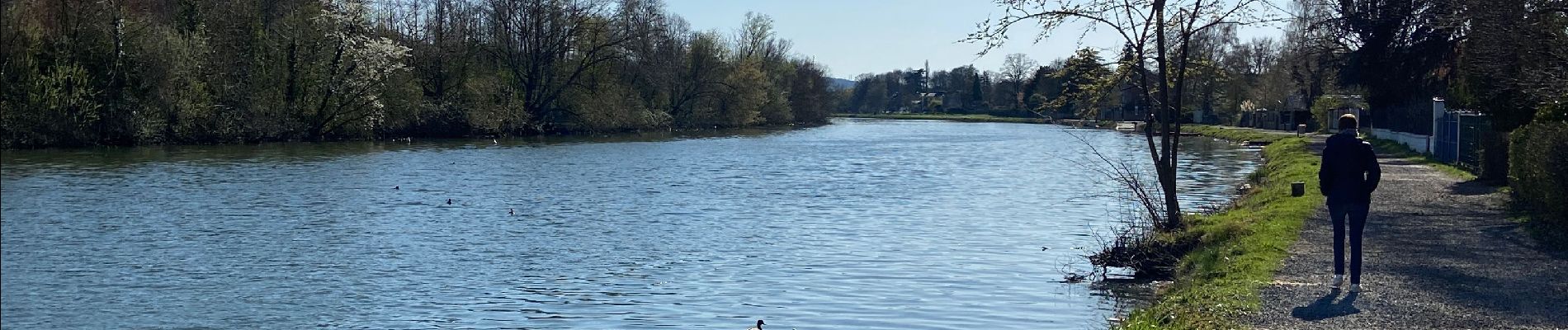 Tocht Stappen Oupeye - Hermalle-sous argentau - Photo