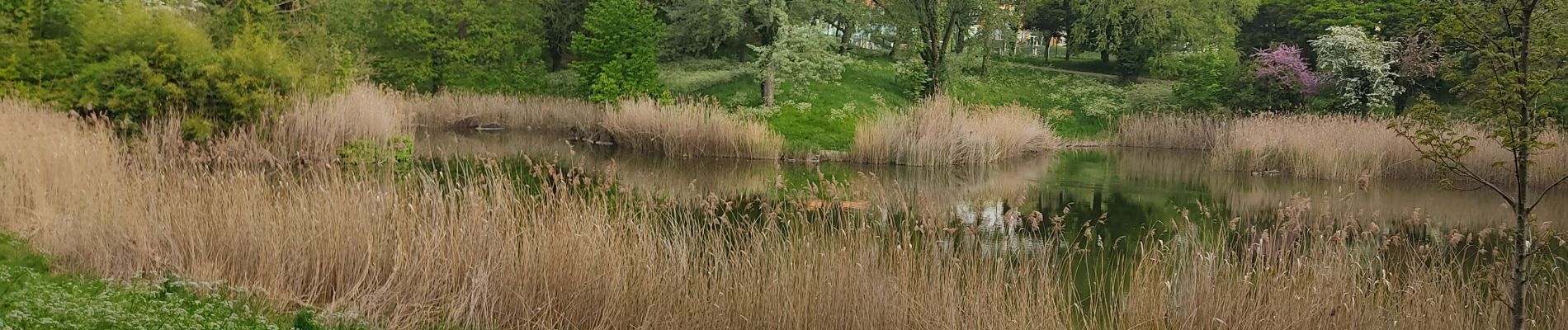 Trail Walking Montreuil - Les forts de Rosny et Noisy le sec - Photo