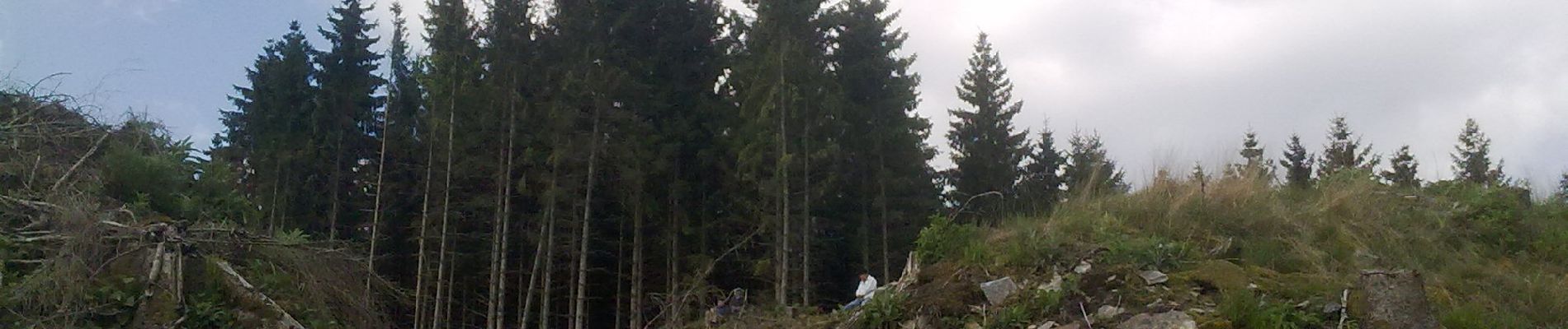 Tour Zu Fuß Sainte-Ode - L7. Promenade de Basseilles - Photo