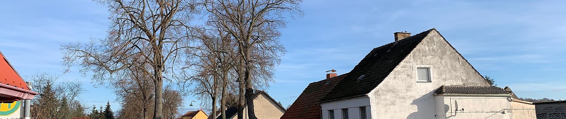 Randonnée A pied Nuthe-Urstromtal - Wald- und Wiesenweg - Photo