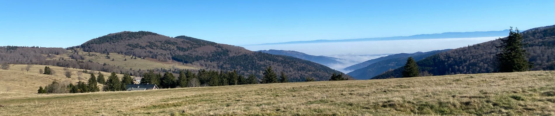 Tocht Stappen Ranspach - 24 11 16 Autour du Markstein  - Photo