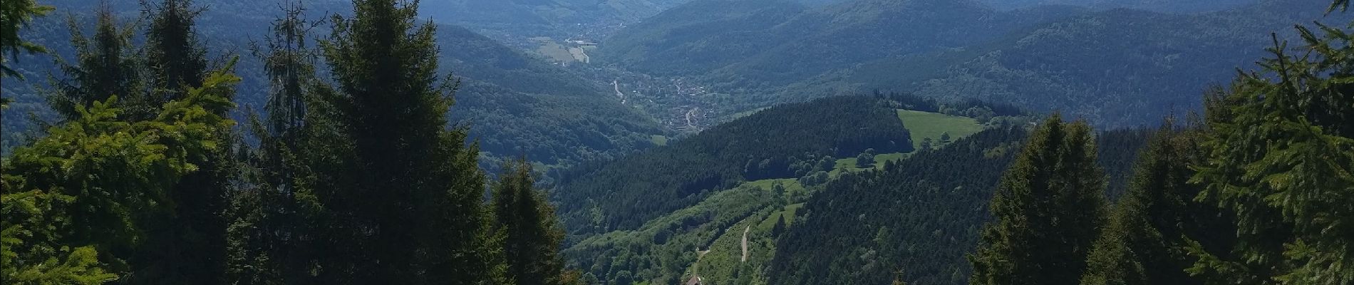 Tocht Stappen Metzeral - rando vosges grand ballon - Photo