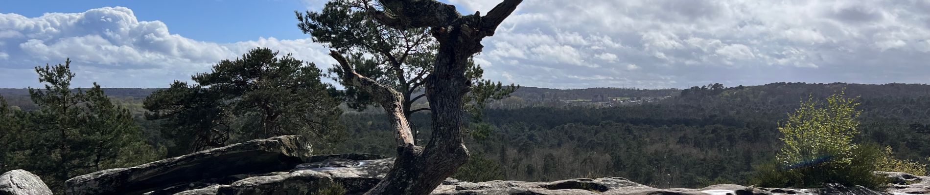 Randonnée Marche Villiers-sous-Grez - Villiers sous grez / Larchant - Photo