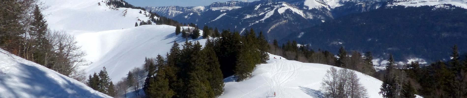 Tocht Sneeuwschoenen Sarcenas - col de porte CHARMANT SOM - Photo