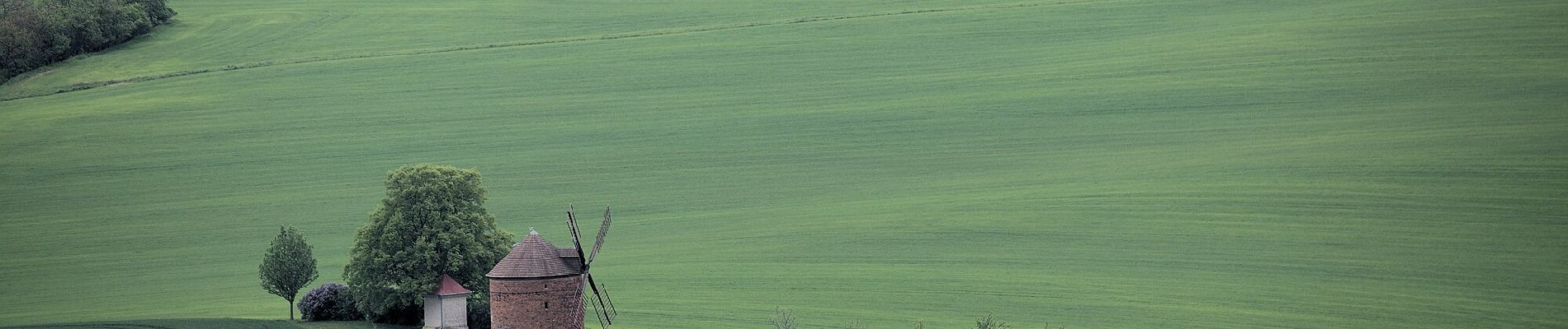 Excursión A pie Pačlavice - [Ž] Nad Kozojedskem - Lhota u Pačlavic - Photo