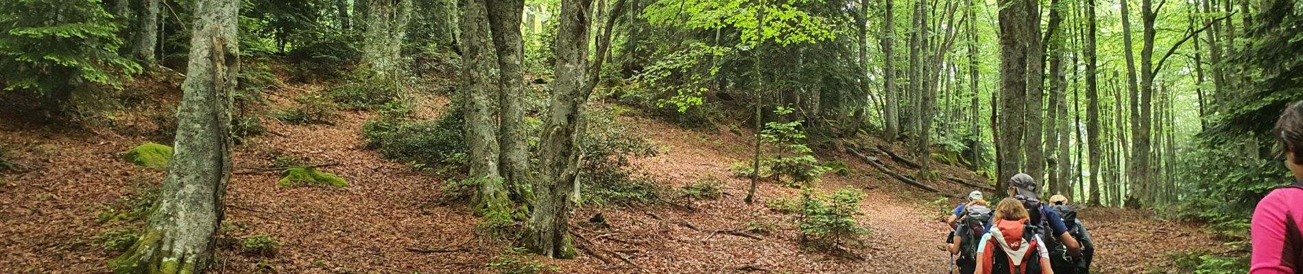 Trail Walking Savignac-les-Ormeaux - cabane du roc de Sorgeat  - Photo